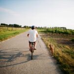 mhw magazin fahrradfahren mit hund 150x150 - Quelles sont les villes allemandes qui figurent dans le top 20 des villes les plus accueillantes pour les cyclistes ?