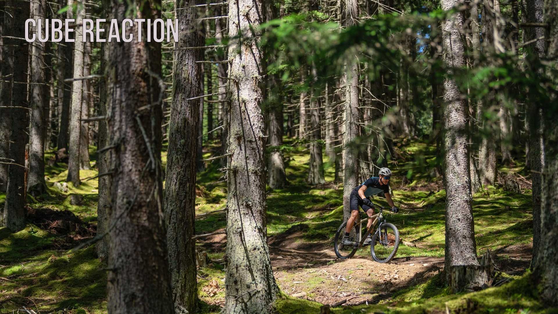 Un cycliste roule dans une forêt sur un VTT Cube Reaction semi rigide Le titre de l'image est Cube Reaction.
