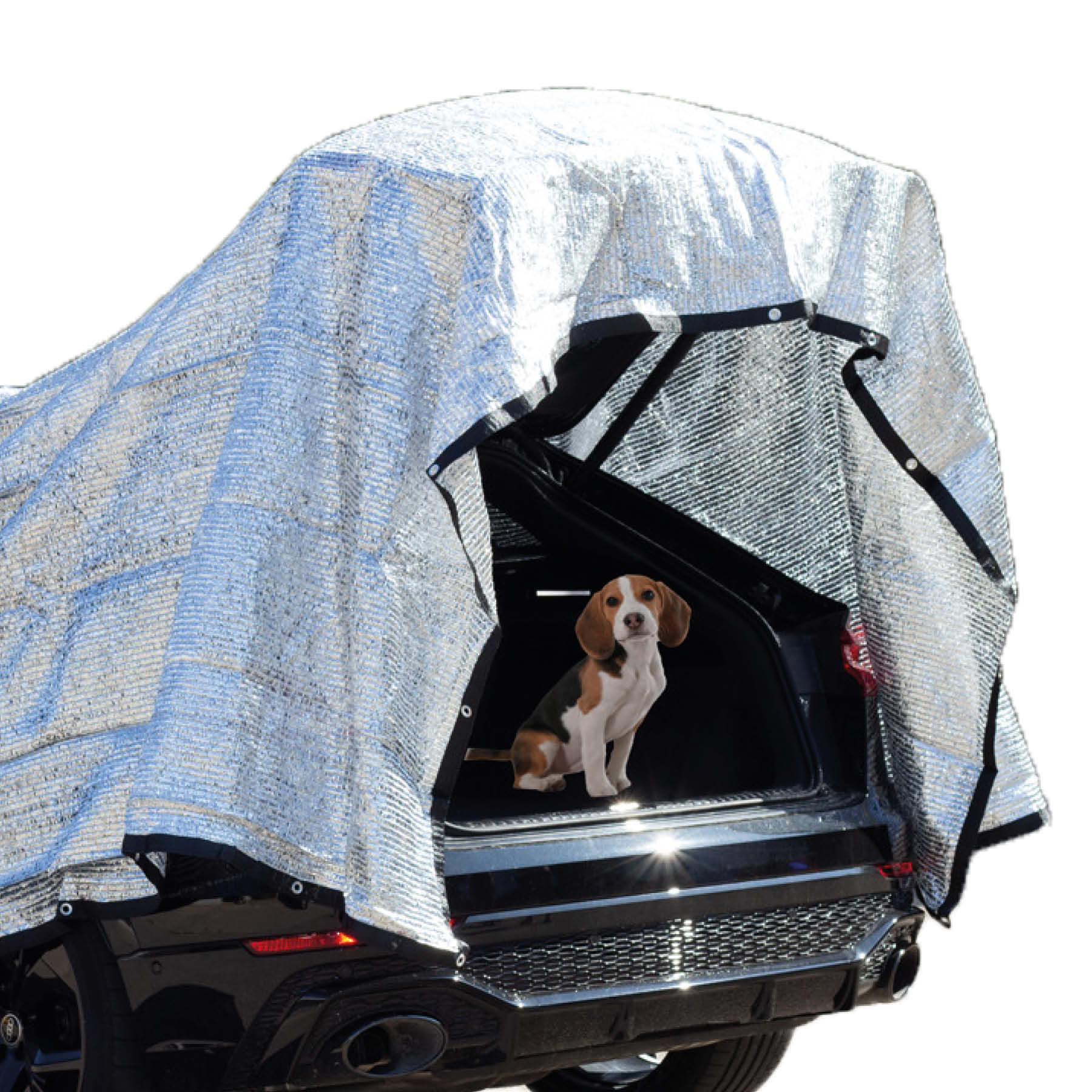 RAVE Filet d'ombrage en aluminium Protection solaire Voile d'ombrage - 4x6 m