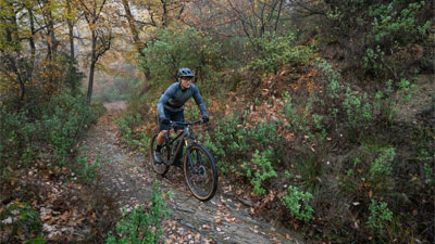 On voit un cycliste sur son VTT. Il roule sur un chemin à travers une forêt.